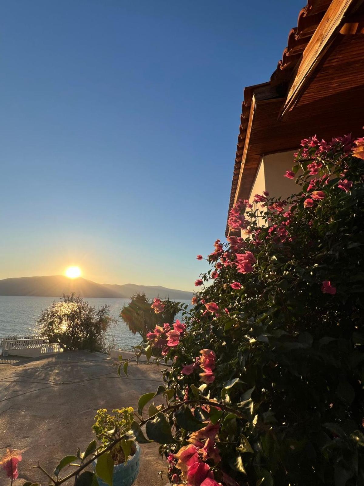 Blue Dream Holiday Hotel Vlorë Eksteriør bilde